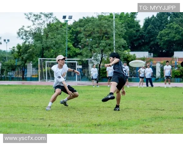 飞盘战术解析：杭州飞盘队高效转换体系的深度剖析与实践探讨